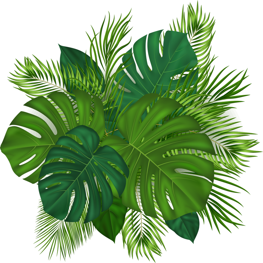 Summer Tropical Background with Green Palm Leaves