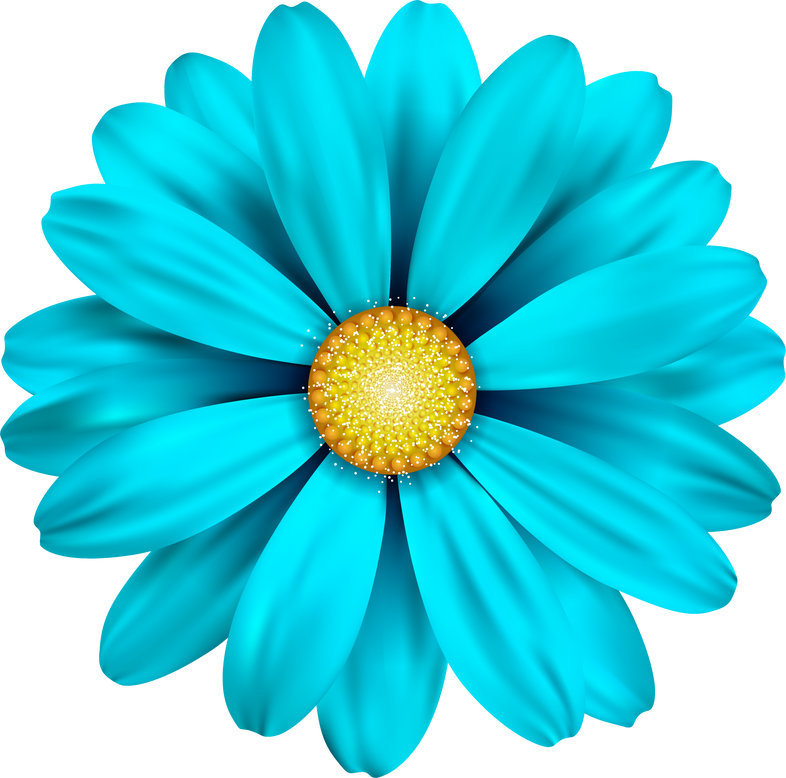 Blue Daisy Flower