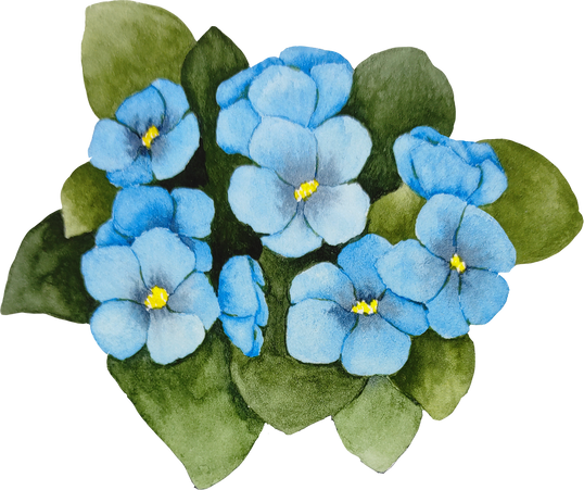 Watercolor Blue  Violet Flowers