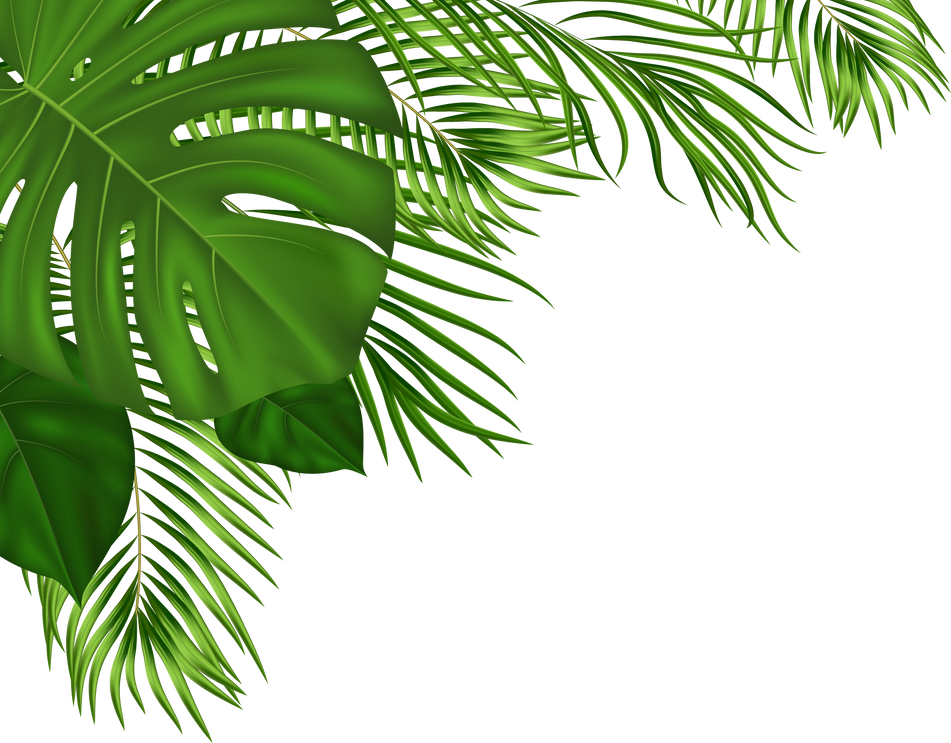 Summer Tropical Background with Green Palm Leaves